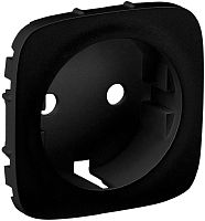 Лицевая панель Legrand Valena Allure для 1-м. розетки 220В антрацит картинка